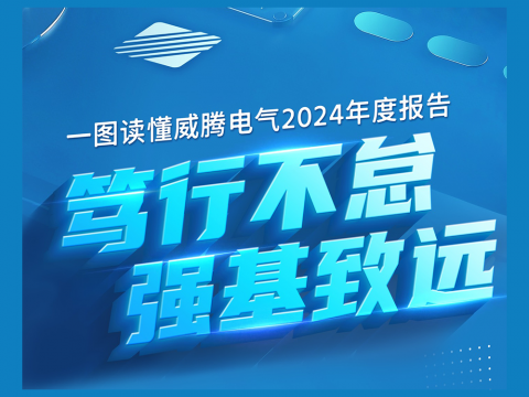 一图读懂今年会电气2024年度报告